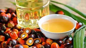 Palm oil : Know every facts about Palm oil