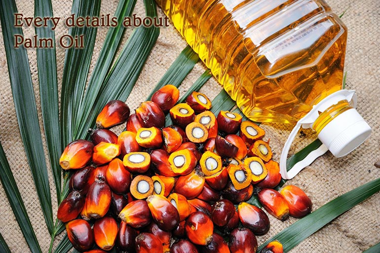 Every details about Palm Oil: